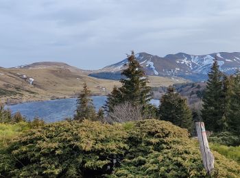 Percorso Marcia Orcival - CHAÎNE DES PUYS Guery / Roche Sanadoire et Tuilière - Photo