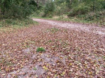 Tocht Stappen Condette - Écault 2 - Photo