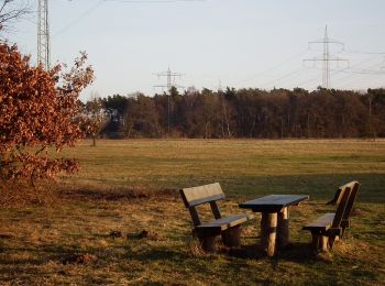 Randonnée A pied Inconnu - Dossenwald Rundweg Nr. 2 - Photo