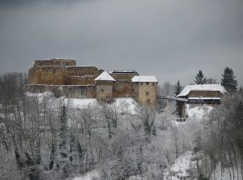 Tocht Te voet Schwäbisch Gmünd - Glaubensweg 17 - Photo