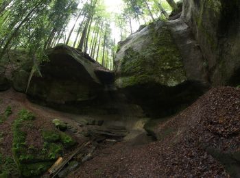 Tocht Te voet Kaisersbach - Ebnisee-Schmalenberg-Wieslauftal - Photo