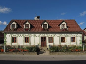 Excursión A pie Gemeinde Zwettl-Niederösterreich - Storchenblickweg 57C - Photo