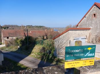 Tocht Stappen Monétay-sur-Allier - la boire de Monetay + l