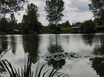 Trail Walking Bornem - Randonnée autour du lac de Bornem - Photo