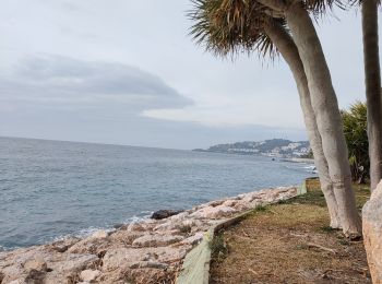 Tocht Stappen Almuñécar - El paseo de Almuñecar - Photo