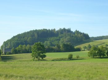 Randonnée A pied Česká Třebová - [Ž] Pod Kozlovcem - Pod Skuhrovem - Photo