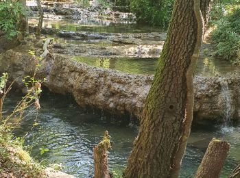 Randonnée Marche Méounes-lès-Montrieux - Le Gapeau au départ de Montrieux - Photo