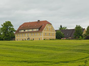 Randonnée A pied Oderwitz - Königsholz - Photo