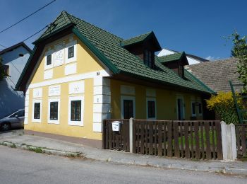 Tour Zu Fuß Gemeinde Rappottenstein - Blick in die Geschichte 11 - Photo