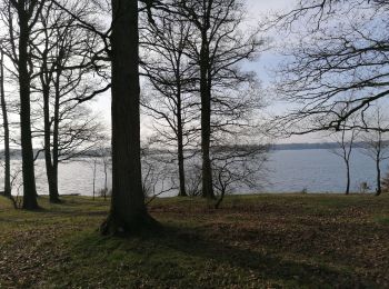 Tocht Mountainbike Froidchapelle - Tour du lac de la Plate Taille - Photo