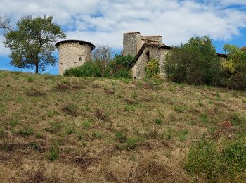 Excursión Senderismo Montayral - Perricard le patrimoine - Photo