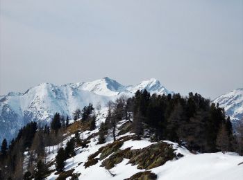 Percorso A piedi Pollone - Alta Via n. 1 della Valle d'Aosta - Tappa 3 - Photo