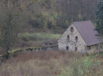 Trail On foot Lauterbach - Bachtour Lauterbach - Photo