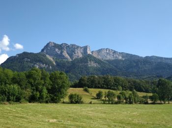 Percorso Marcia Montaud - BOUCLE MONTAUD DE T DE MOIRANS - Photo