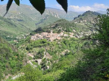 Excursión Senderismo Vallées-d'Antraigues-Asperjoc - Antraigues Bise 15km - Photo