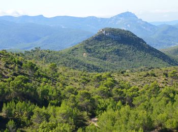 Trail Walking Pourrières - Mont Olympe - Rocher de Onze Heures - Photo