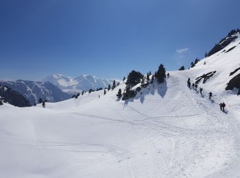 Excursión Senderismo Vaulnaveys-le-Haut - Le Col de La Botte depuis l'Arselle - Photo