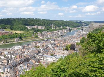 Tocht Stappen Dinant - Balade à Dinant - Photo