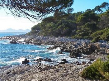 Excursión Senderismo Antibes - Le tour du Cap d'Antibes - Photo