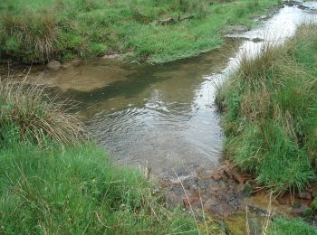 Percorso A piedi Rothenbucher Forst - Ortswanderweg Rothenbuch 2 - Photo