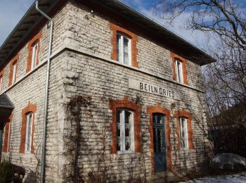 Excursión A pie Beilngries - Arzberg-Meile - Photo