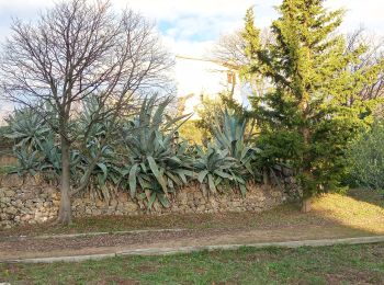 Tocht Stappen Flayosc - flayosc font roux - Photo