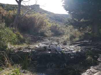 Trail Walking Marseille - mont carpiagne - Photo