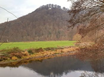 Tocht Stappen Rendeux - Promenade Saint-Thibaut à Marcourt - Photo