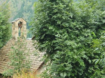 Trail Walking Champoléon - refuge du Tourrond - Photo