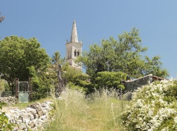 Excursión Senderismo Montjoyer - Montjoyer-Chapelle St Pierre 10km - Photo