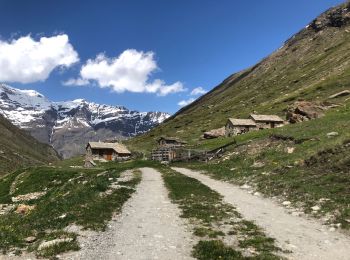 Randonnée Marche Bessans - Vallée du Ribon à Bessans - Photo