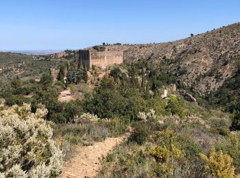 Excursión Senderismo Castelnou - 20210328 Castelnou-Camelas- boucl - Photo