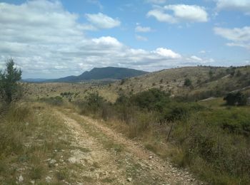 Excursión Senderismo Blandas - serre des trois prieurs - Photo