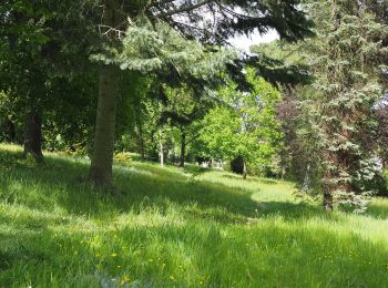 Tocht Te voet Harz (LK Goslar) - HK 1: Seesen, Bahnhof - Hahnenklee - Goslar - Seesen - Photo