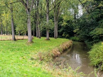 Randonnée Marche Ottignies-Louvain-la-Neuve - Lauzelle - Ottignies - Bois des Rêves - Photo