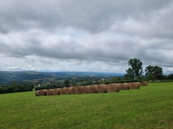 Tocht Mountainbike Échassières - la bosse - Photo