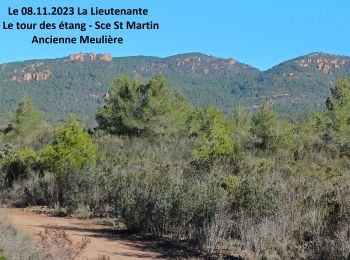 Trail Walking Puget-sur-Argens - La Lieutenante Le tour des étangs - Sce St Martin - Anc. Meulière - Photo