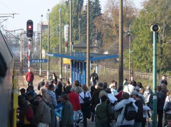 Percorso A piedi  - Szlak im. Janusza Brandysa - Photo