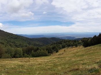 Randonnée Marche Geishouse - Ferme Haag - Lac Blallon - Le Grand Ballon - Photo