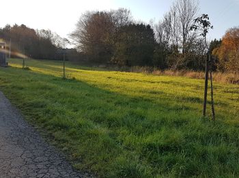 Randonnée Randonnée équestre Viroinval - Oignies- Nobertin- La folie-Oignies - Photo