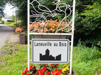 Randonnée Marche Tenneville - Marche ADEPS à Tenneville. - Photo