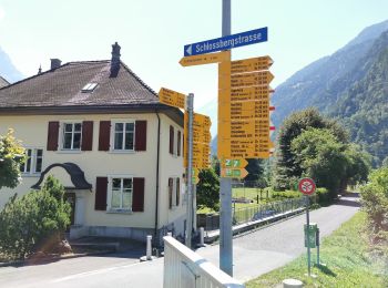 Tocht Te voet Erstfeld - Erstfeld-Attighauser Brücke - Photo