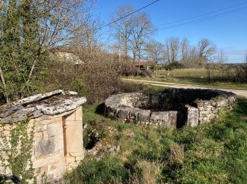 Trail Walking Cremps - Pas de Not Cremps - Photo
