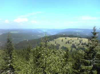 Tocht Te voet Feldberg - Feldberg (Caritasheim) - Kohlplatz - Bärental - Photo