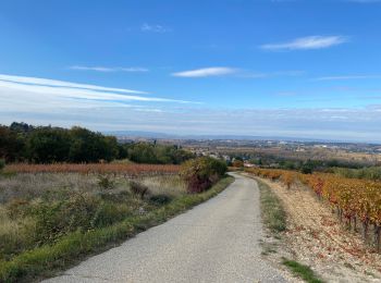 Percorso Mountainbike La Baume-de-Transit - Gravel - La Baume / Gigondas - Photo