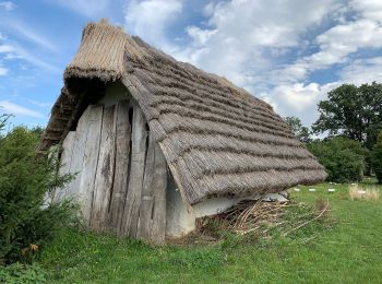 Tocht Te voet Thalmässing - Keltenweg - Photo