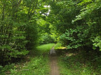 Tocht Stappen Chaligny - Petit tour en partant de Clairlieuy - Photo