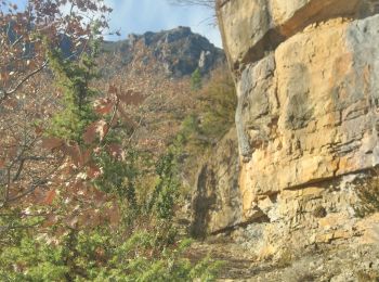 Trail Walking Cans et Cévennes - Petite balade autour du MAZEL en passant sous le causse MEJAN - Photo