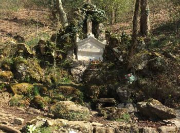 Tour Wandern Ainhoa - Errebi boucle depuis carrière Ainhoa  - Photo