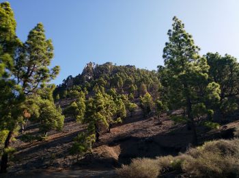 Trail Walking El Paso - Jedey - Photo